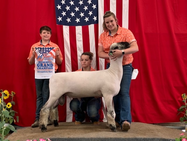 City Limits Winners